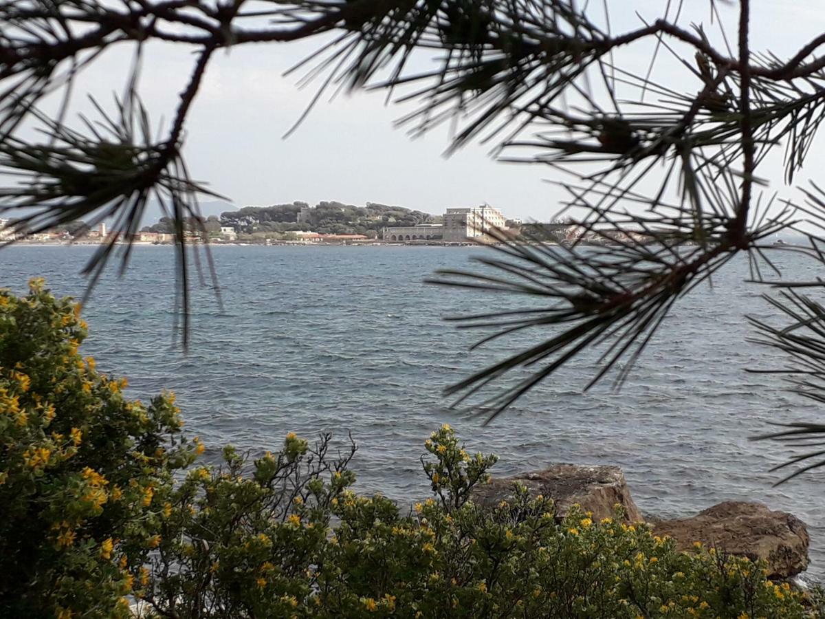 Bandol Nature Et Loisirs: Parking/ Piscine المظهر الخارجي الصورة